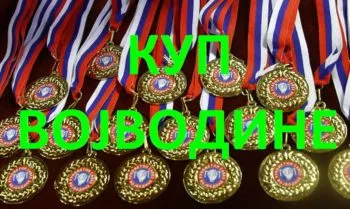 Lavovi u finalu kupa (2018)
