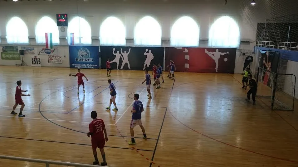 Lavovi osvojili 4. mesto na turniru u Mađarskoj (2015)