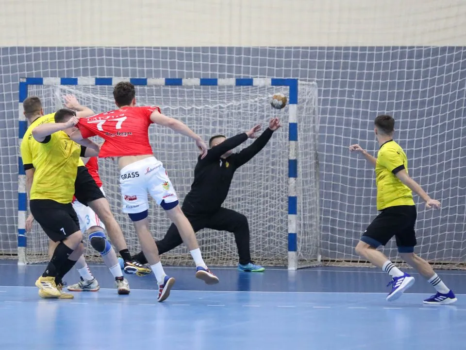 Potisje Pleteks – Lavovi BP 38:25, fotografija 1